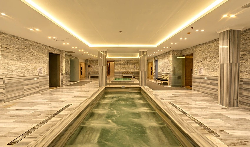 Spa & Wellness Facilities